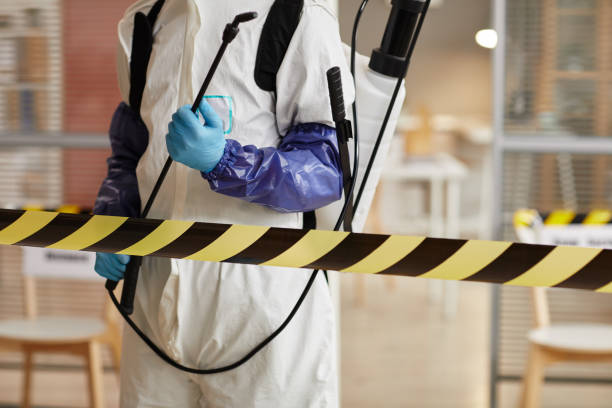 Professional Sewage Cleanup technician working in High Bridge, WA